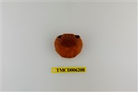 藏品(白紋方蟹)的圖片